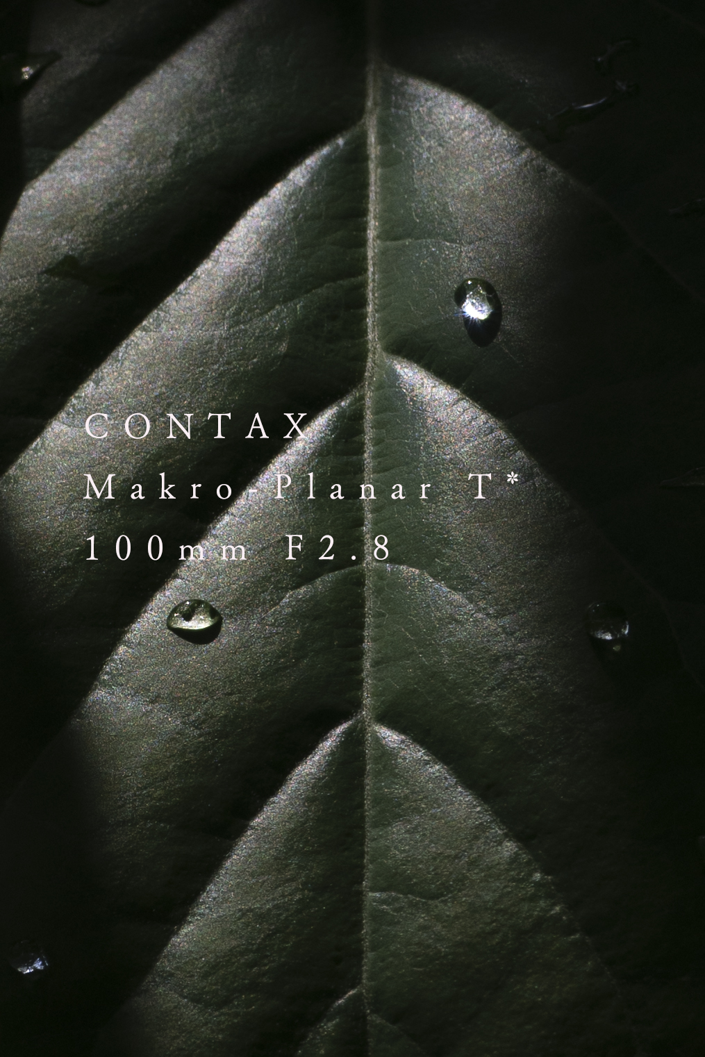 CONTAX Makro-Planar T* 100mm F2.8 | ReCamera