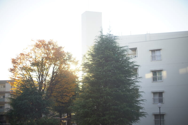 One morning