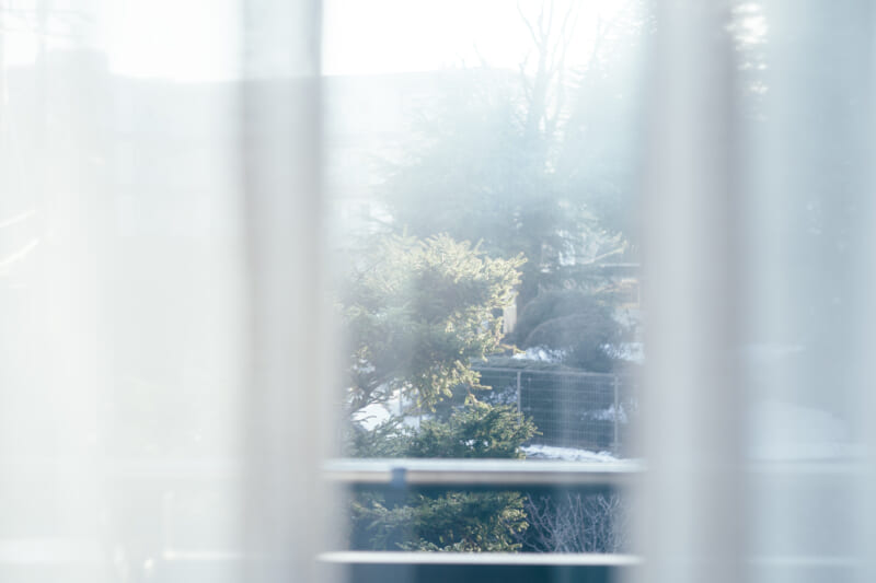 Window