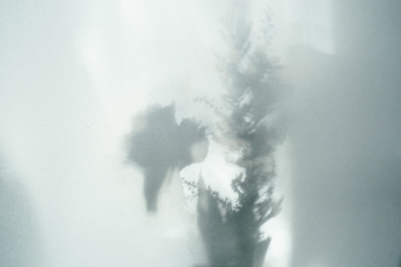 SHADOW